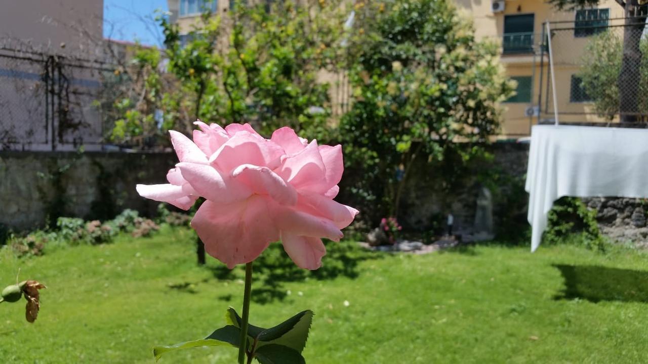 Bed and Breakfast Vesuvius Gardens - Fagianeria Borbonica Relais Ercolano Zewnętrze zdjęcie