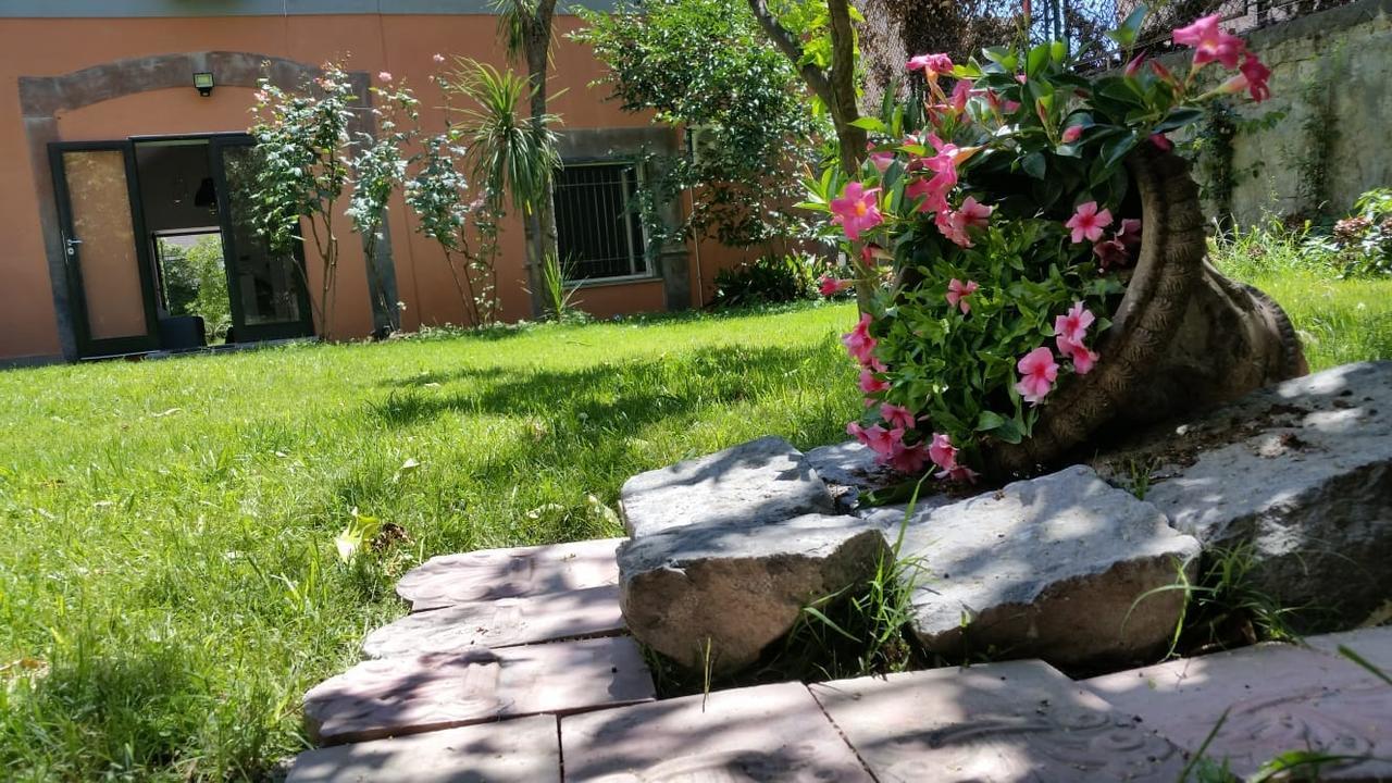 Bed and Breakfast Vesuvius Gardens - Fagianeria Borbonica Relais Ercolano Zewnętrze zdjęcie